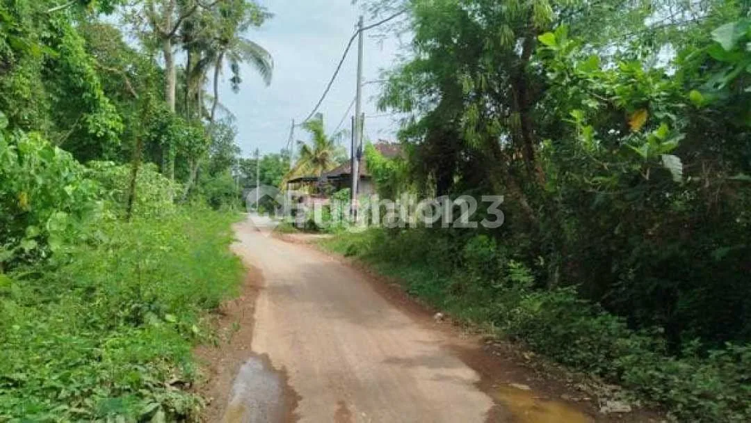 Tanah 14 Are Keramas Akses 6M Dekat Ib Mantra SHM Turun Harga - Image 4 of 4