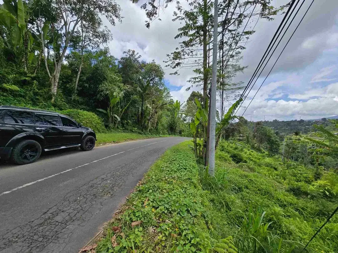 dijual tanah view exotik gunung dan terasering di baturiti bali - Image 8 of 10