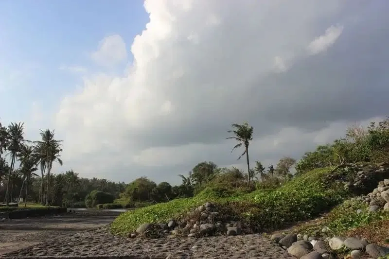 JUAL TANAH LUAS LOS PANTAI BERABAN TABANAN BALI - Image 10 of 10