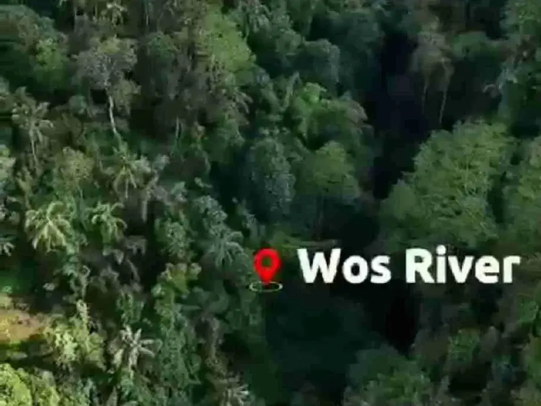 PRIME LOCATION IN WOS RIVER NEAR CAPELLA RESORT UBUD - Image 5 of 10