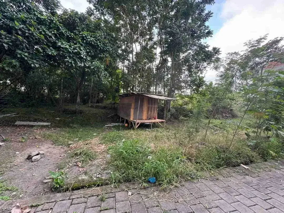Tanah Strategis Lingkungan Vila Mewah Tumbak Bayuh Canggu - Image 4 of 8