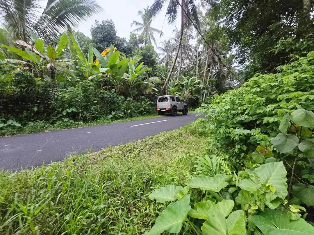 DIJUAL TANAH MURAH DI TABANAN
Batuaji - Image 4 of 10