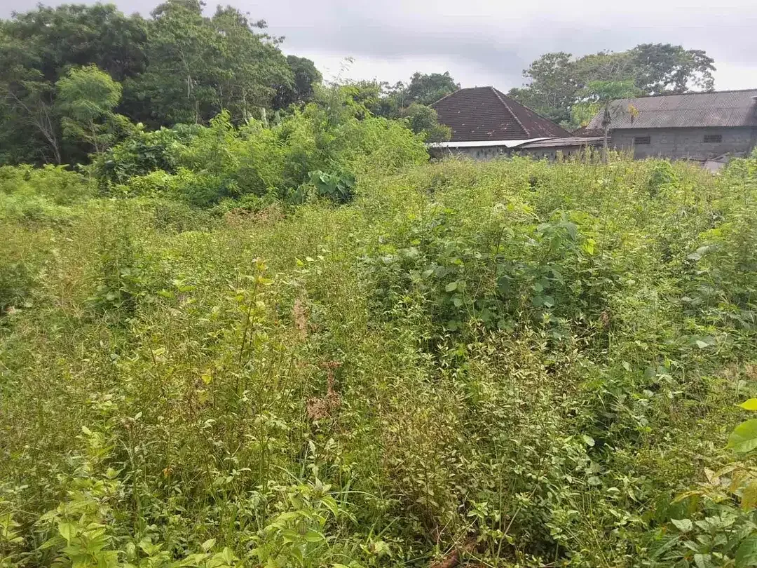 Di sewakan lahan komersil cocok untuk usaha karena di jalan utama labuan sait Pecatu - Image 5 of 10