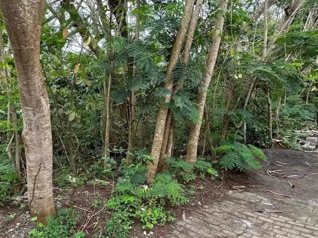 Tanah MURAH Strategis Area Villa Airis Ungasan - Image 7 of 9