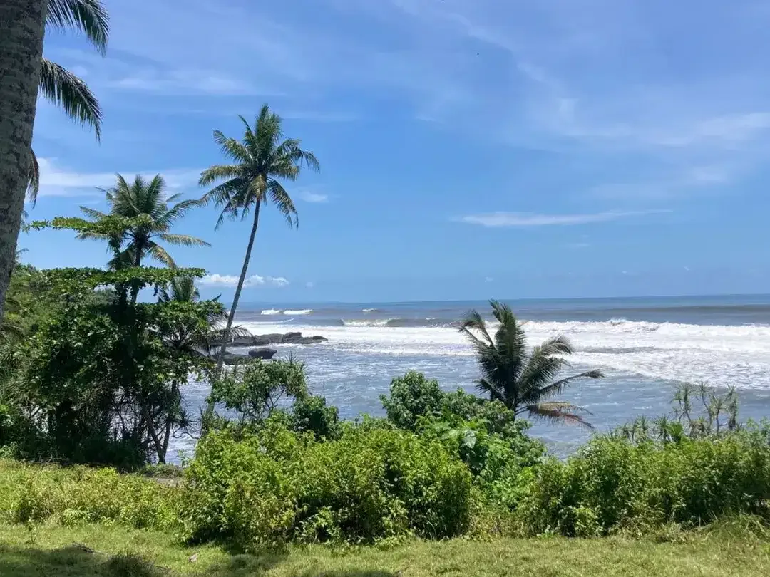 Freehold - Beachfront Land in Great Location Antap Tabanan - Image 2 of 5