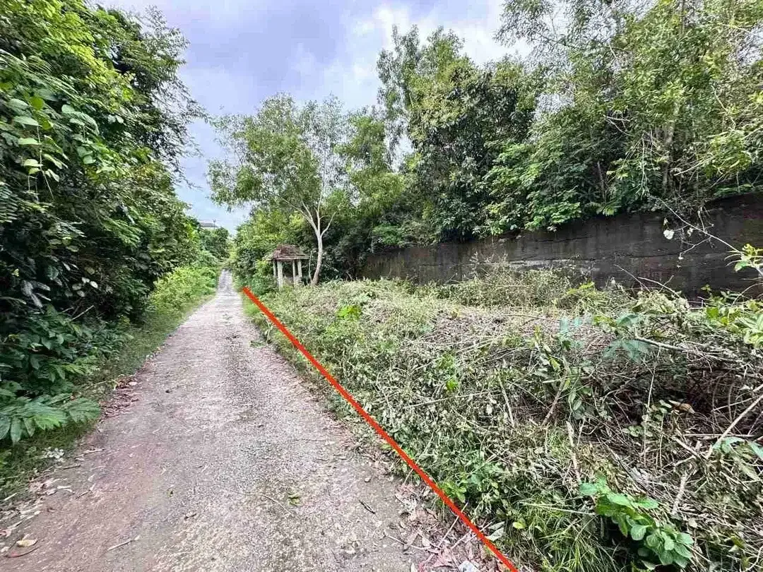 Tanah Strategis Jl Toyaning Ungasan dekat Pantai - Image 5 of 9