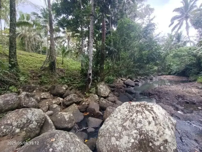 Tanah View Sawah dan Sungai dekat Villa Bali Lush dan Green Retreat - Image 5 of 10