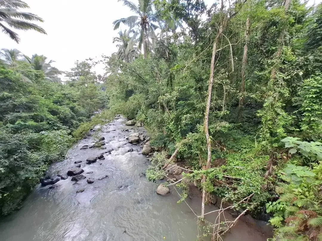 Dijual tanah kecil los sungai besar di tabanan bali - Image 2 of 8