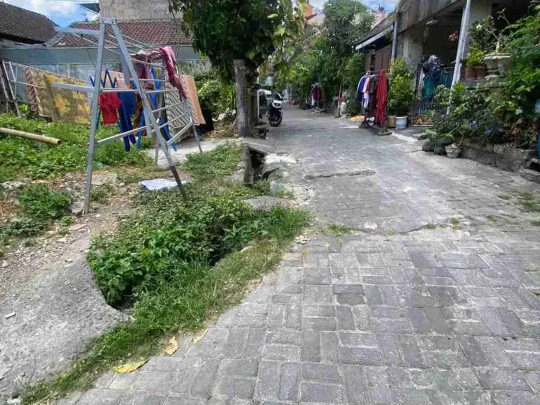 Tanah padonan Canggu cocok untuk hunian pribadi atau homestay guesthouse - Image 5 of 6
