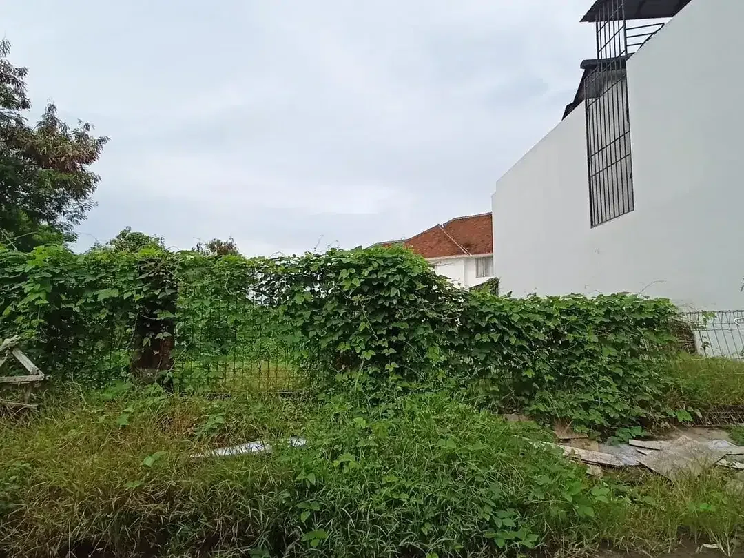 Freehold - Rare Land Plot with River & Rice Field View for Sale Canggu - Image 7 of 7