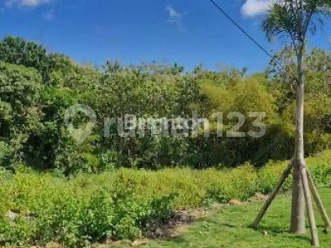 Tanah Premium 32 Are Jalan Uluwatu Unggasan, Zona Pink, SHM, Rp 700 Juta/Are - Image 3 of 7