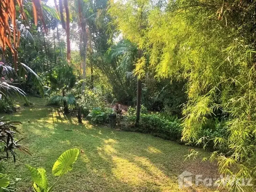 Land for sale in Pererenan, Bali - Image 9 of 10