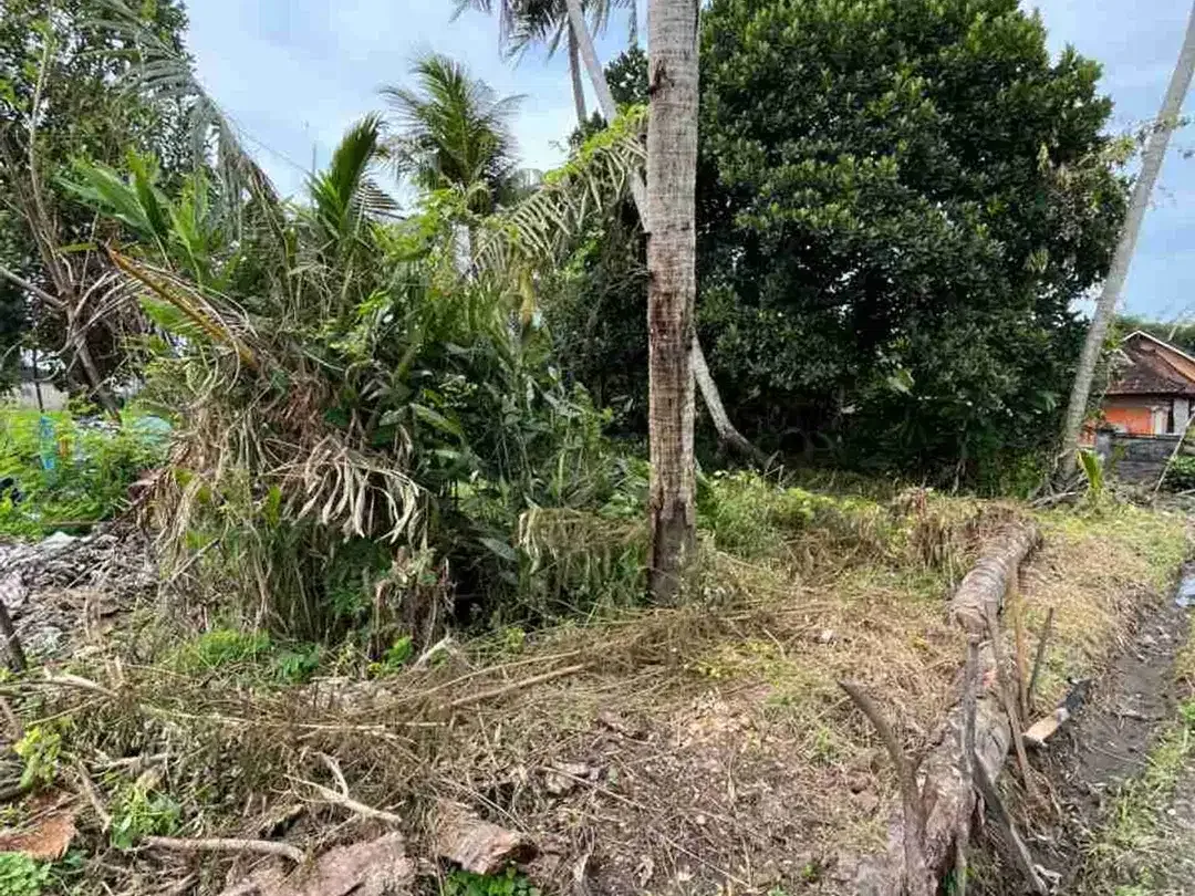 Di jual tanah sawah luas 48.5 are/48500 M2 di kaba-kaba tidak jauh ke arah pantai pererenan - Image 1 of 10