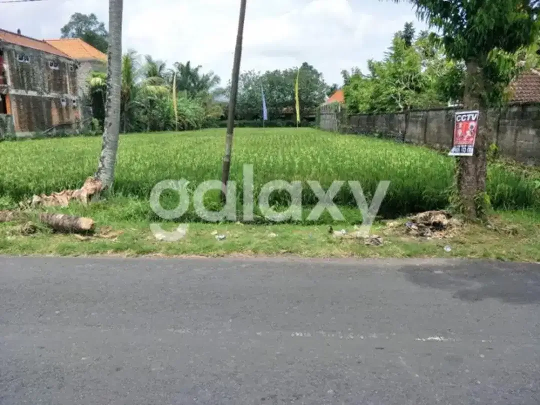 TANAH DEKAT KAWASAN WISATA DI MAS KEMENUH GIANYAR, BALI - Image 1 of 5