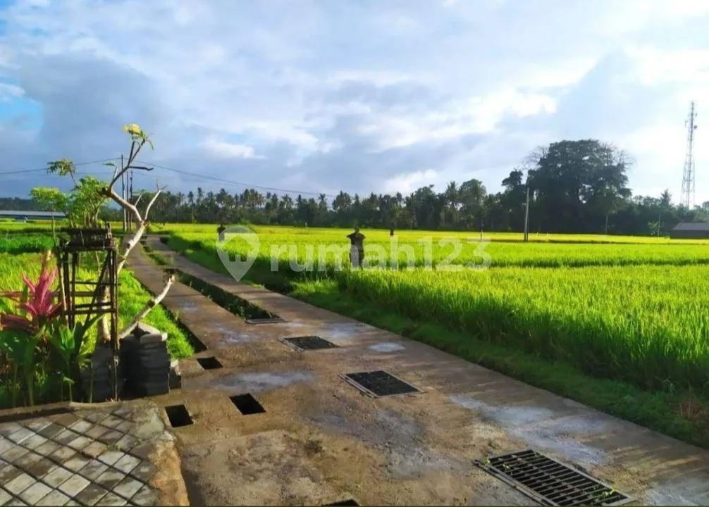 For Rent Wooden House Authentic Balinese Available 5 Menutes From Rusters Kafe - Image 1 of 4