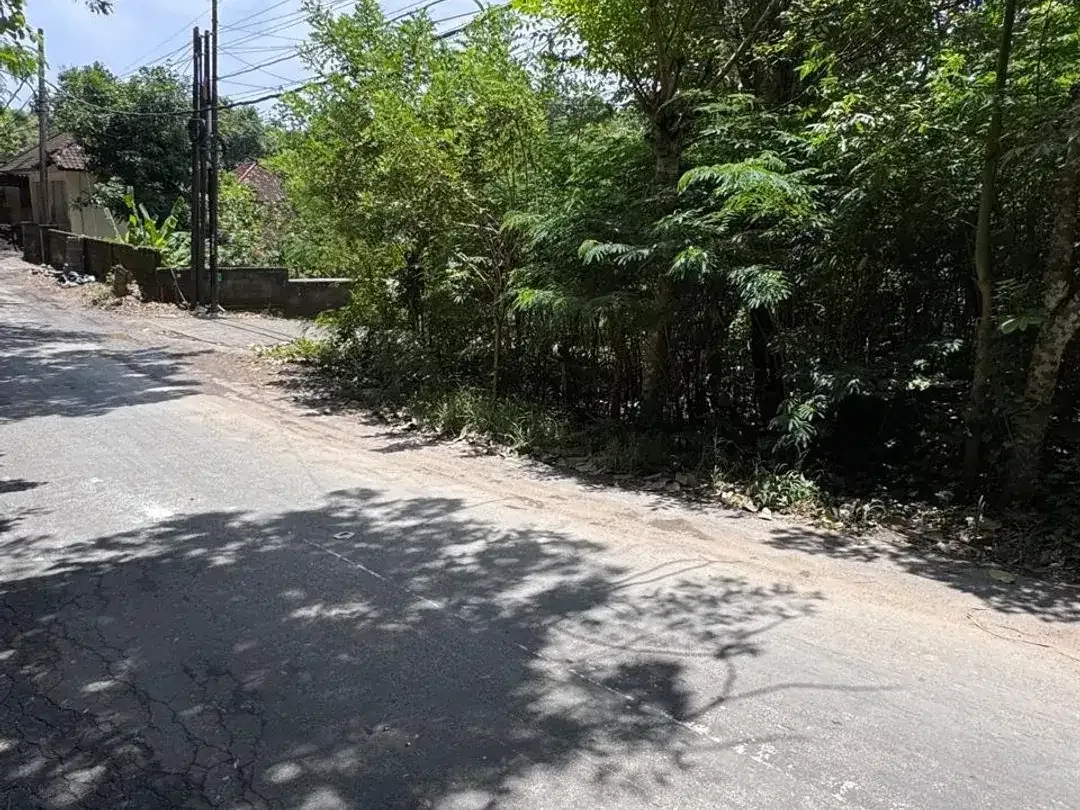 Di Jual Tanah Premium Pink Zone - Goa Lempeh, Pecatu - Image 3 of 3