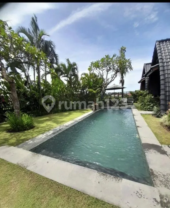 Villa Model Wooden House View Sawah Dekat Pantai di Seseh - Image 4 of 4