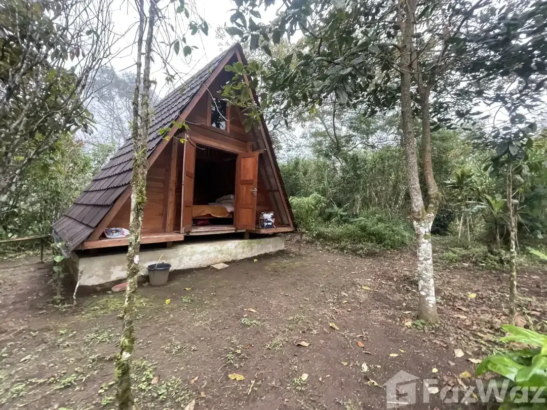 Land for sale in Banjar, Bali - Image 4 of 10