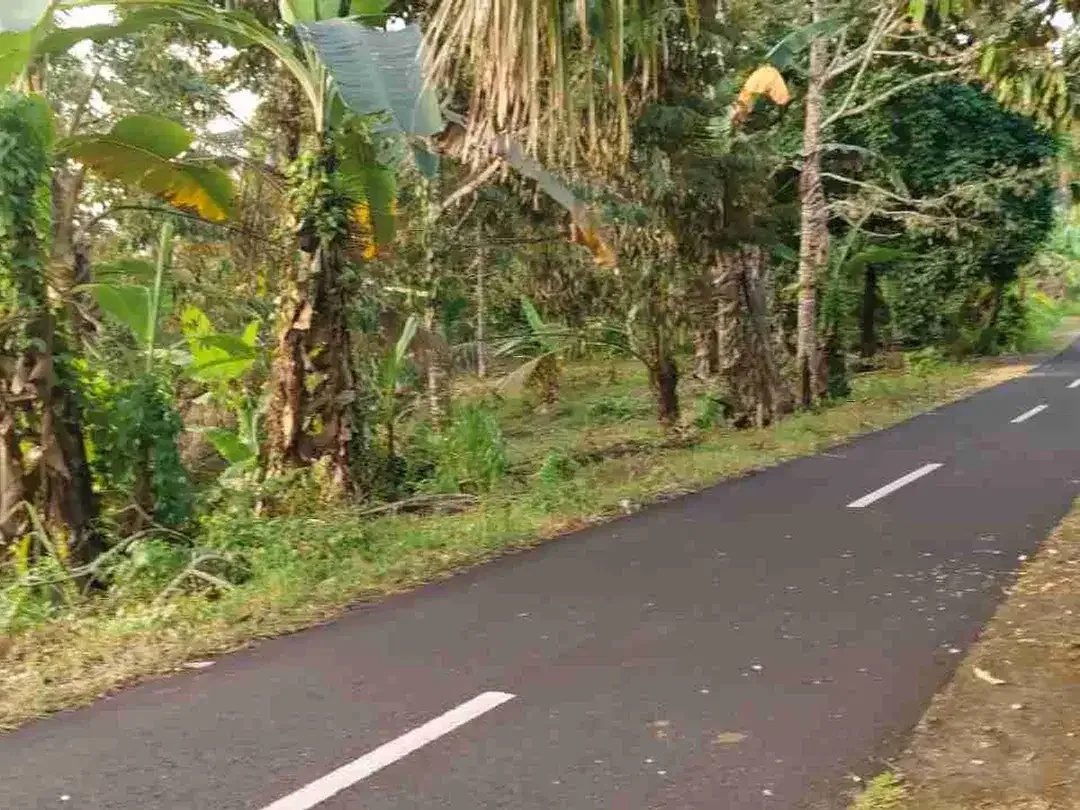 jual tanah kebun view sawah lembah dengan sunset yang cantik di tabanan bali - Image 8 of 10