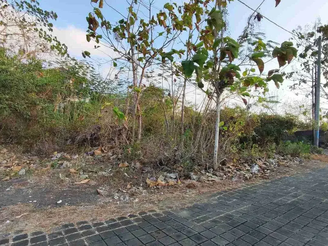 Di jual tanah luas 750 M2/ 7.5 are kawasan villa dan perumahan di kampial Benoa Kuta Selatan - Image 2 of 10