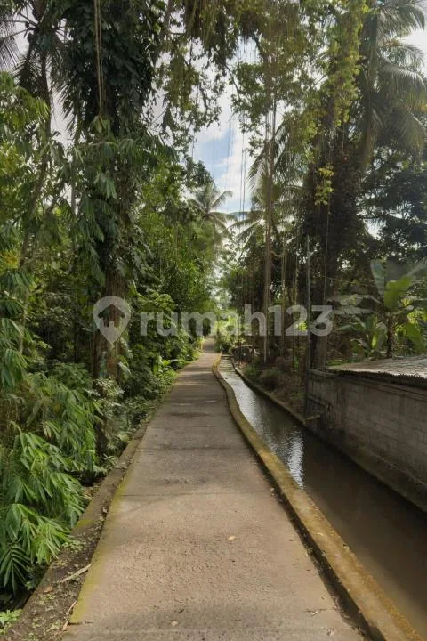 Tanah Datar Akses Mobil Pejeng Gianyar - Image 3 of 4