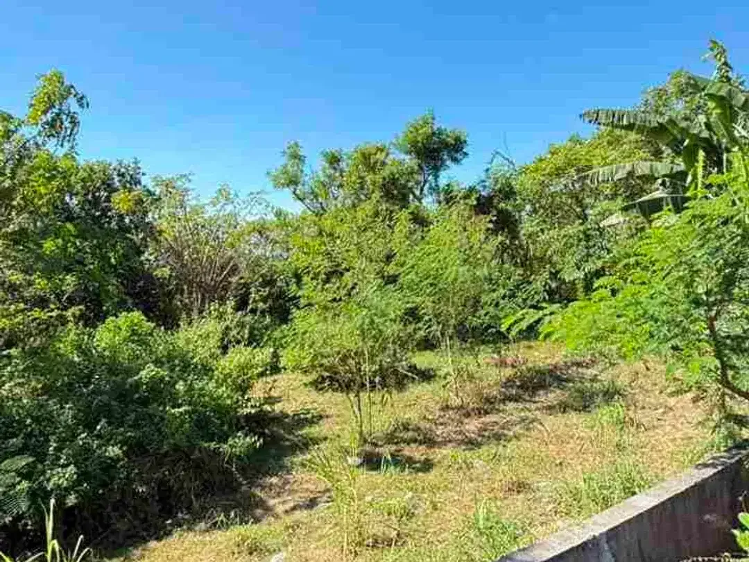 Dijual Tanah 500m2 Super Strategis Dekat Kampus Unud Jimbaran - Image 8 of 10