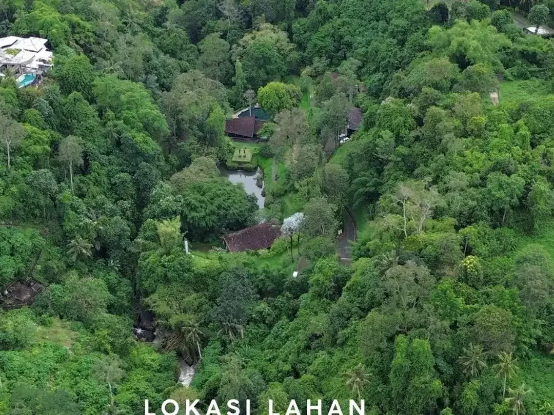 Premium Freehold Land for Sale - Prime Commercial Location in Ubud Center - Image 2 of 10