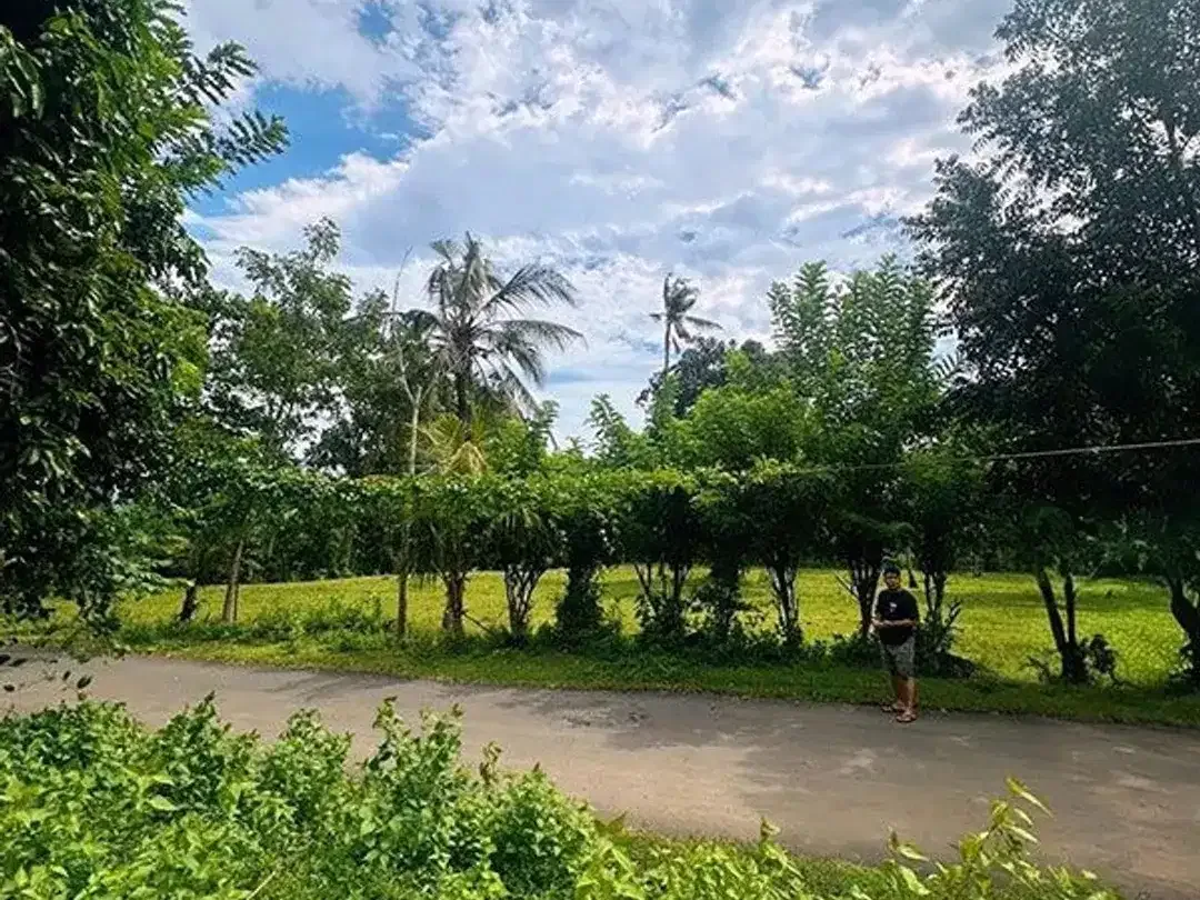 [AMS-018.DKA]  Tanah Premium Dijual Dekat Virgin Beach Bukit Asah Karangasem – Akses Langsung Pantai - Image 1 of 10