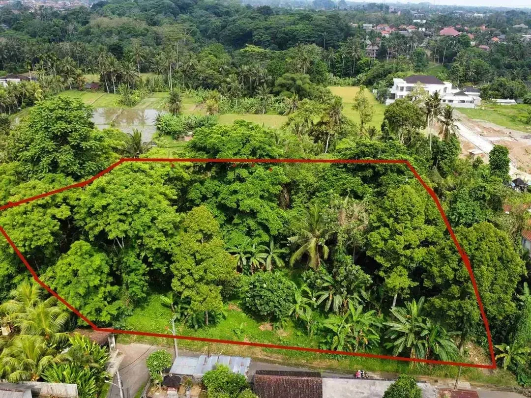 Tanah Murah di Sentral Ubud Dekat Restoran dan Fasilitas Umum - Image 6 of 10