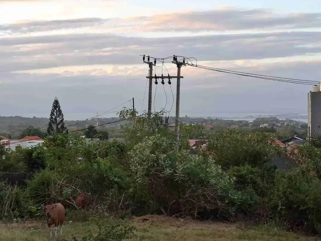 DIJUAL TANAH JL. RAYA UTAMA ULUWATU UNGASAN DEKAT GWK - Image 4 of 6