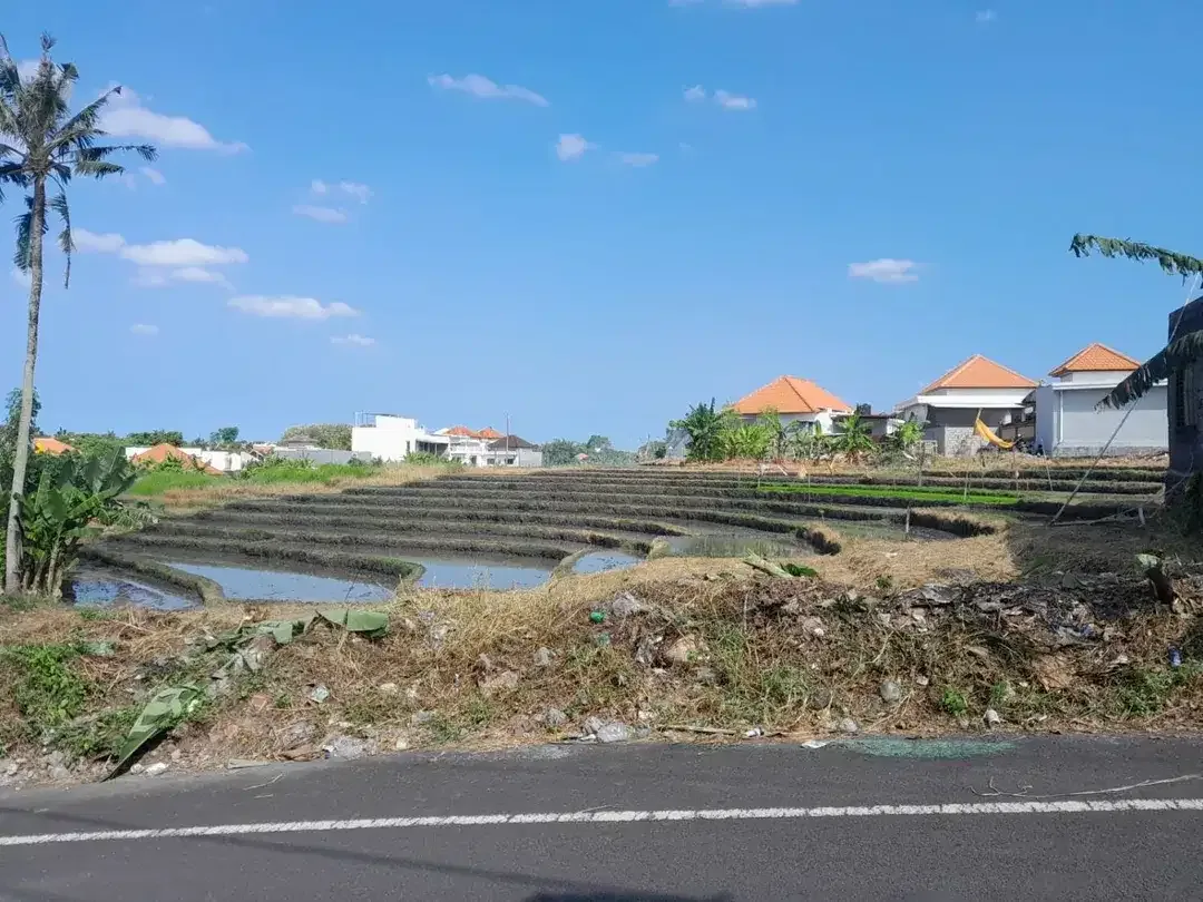 Tanah View Sawah Kayu Tulang Utara Canggu Bali - Image 5 of 10