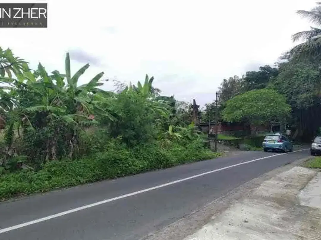 Dijual tanah komersil di jalan utama kedungu kawasan pantai - Image 6 of 9