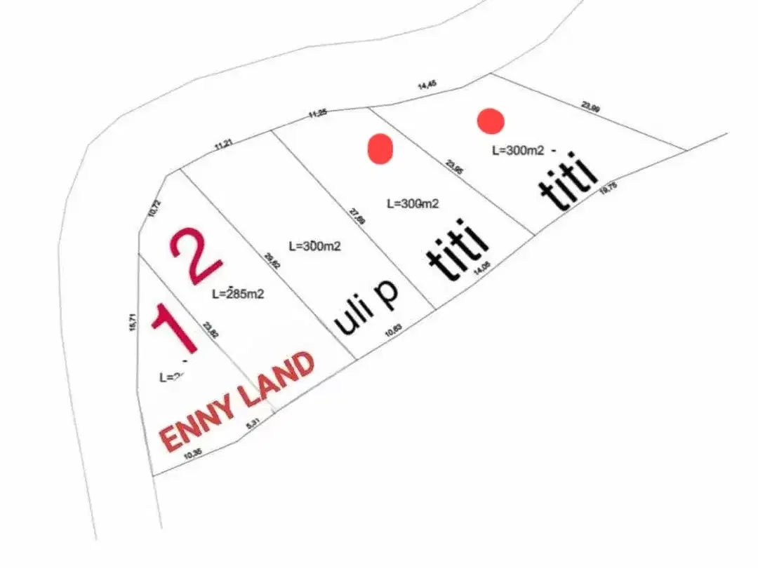 FREEHOLD LAND FOR SALE – LOVINA HILL Bali - Image 2 of 10