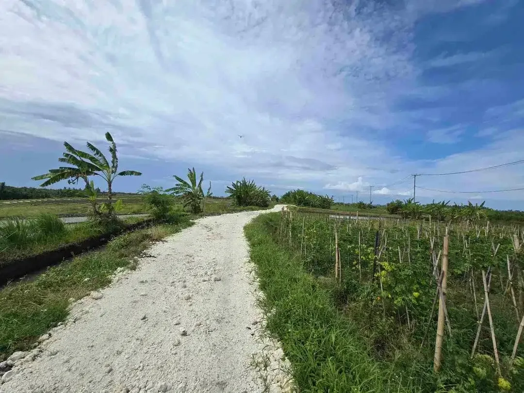 Dijual tanah kecil murah dekat pantai pasut tabanan bali - Image 3 of 10