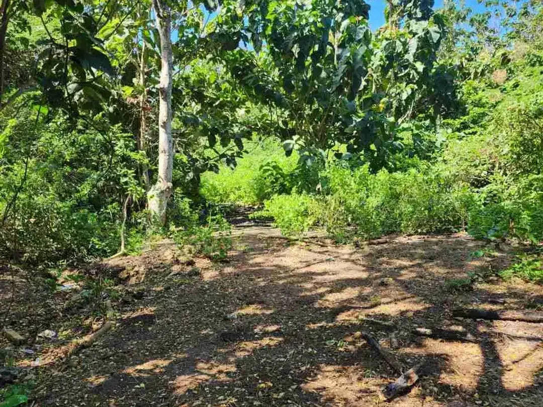 dijual tanah 50 are IDR 550 juta per are dekat Savaya pecatu badung bali - Image 1 of 8