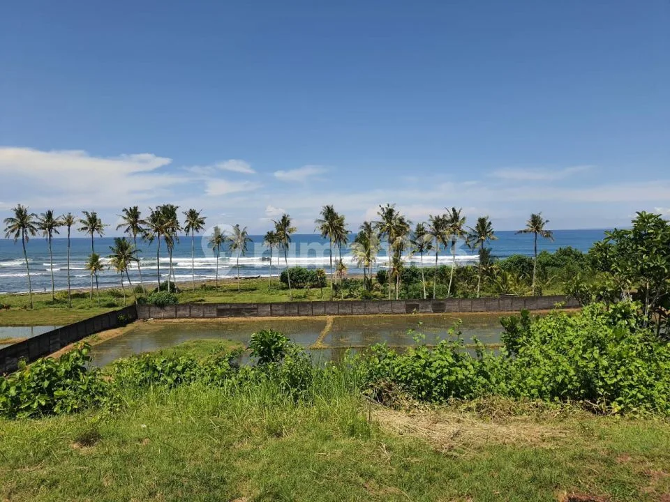 Tanah Dijual / Disewa / Dikerjasamakan - Image 2 of 4