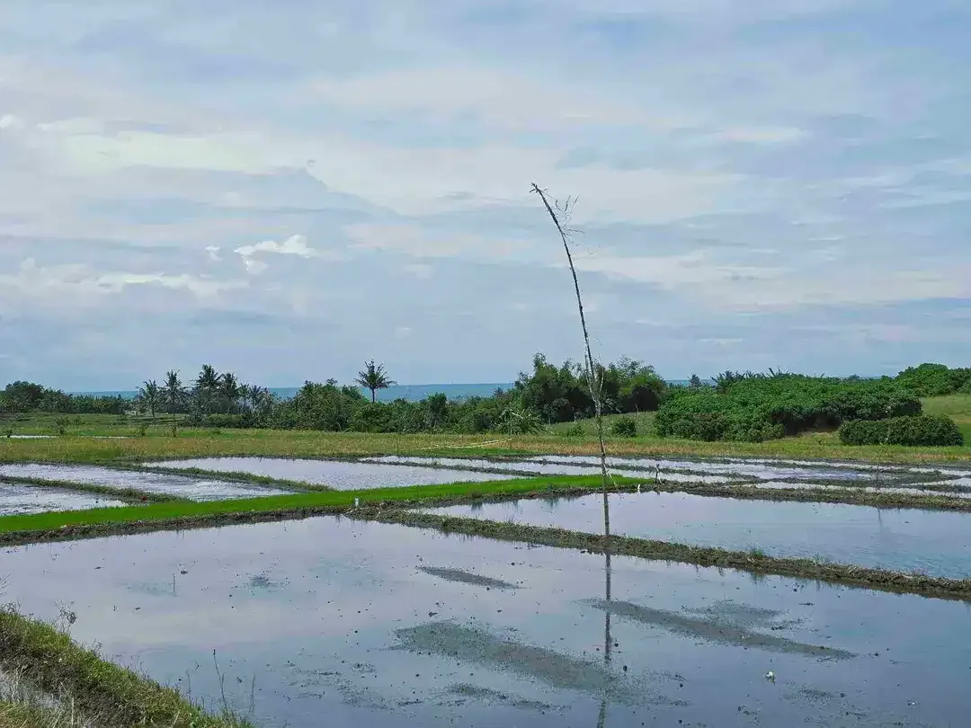 Dijual tanah view laut dekat pantai pasut di tabanan bali - Image 2 of 10