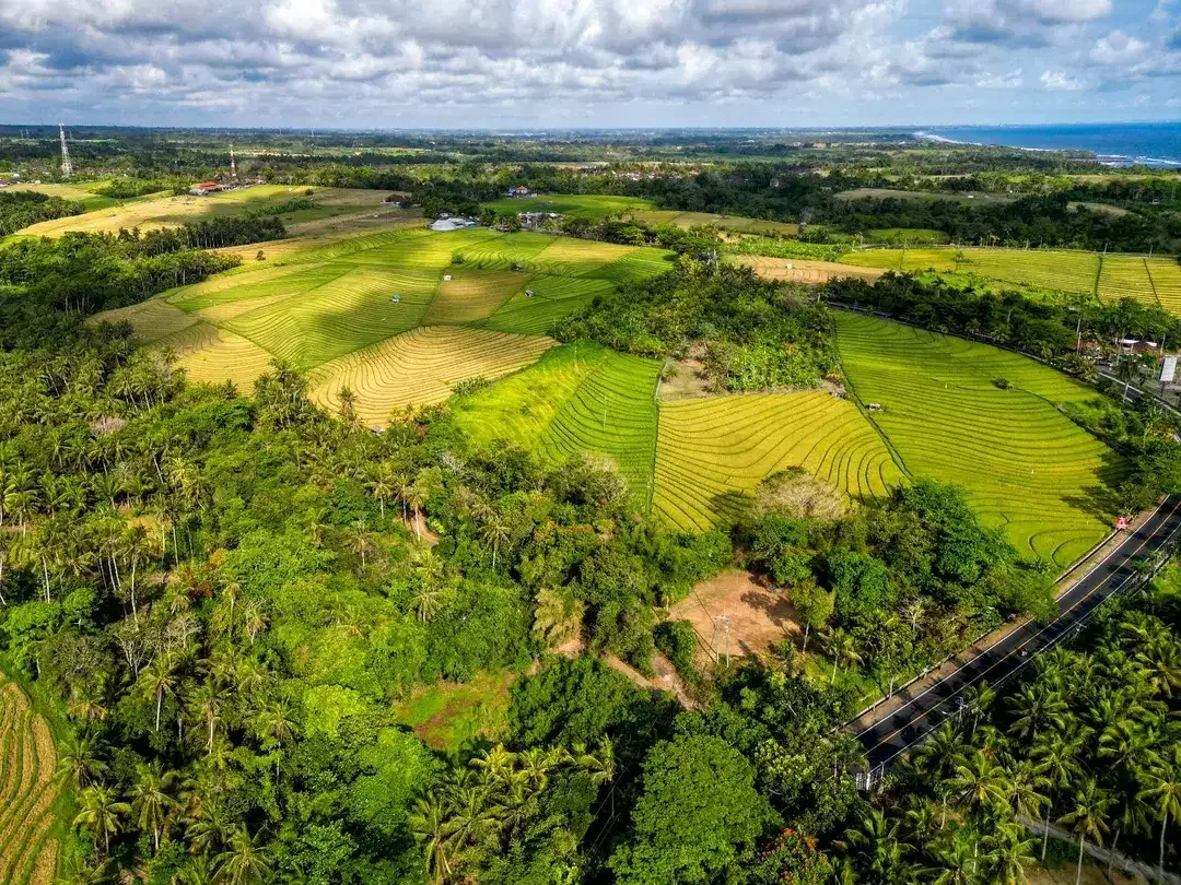 Dijual Tanah Turun Harga Area Tabanan Bali - Image 2 of 3