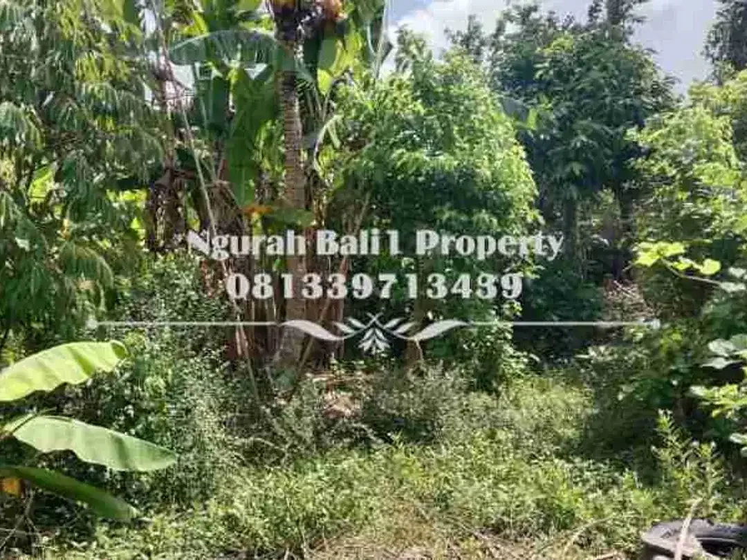 Land For Rent  Luas 900 m2 Kawasan Villa Terletak di Sayan Kelod Ubud - Image 5 of 5