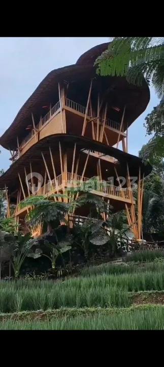 Villa Dijual Bajera Tabanan Bali Siap Pakai SHM - Image 2 of 4