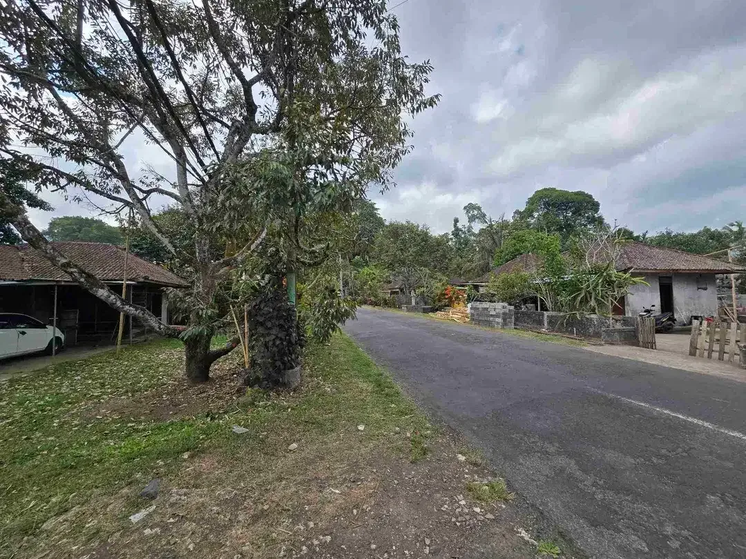 BUC TANAH DATAR ZONA KUNING DI TABANAN BALI - Image 2 of 10