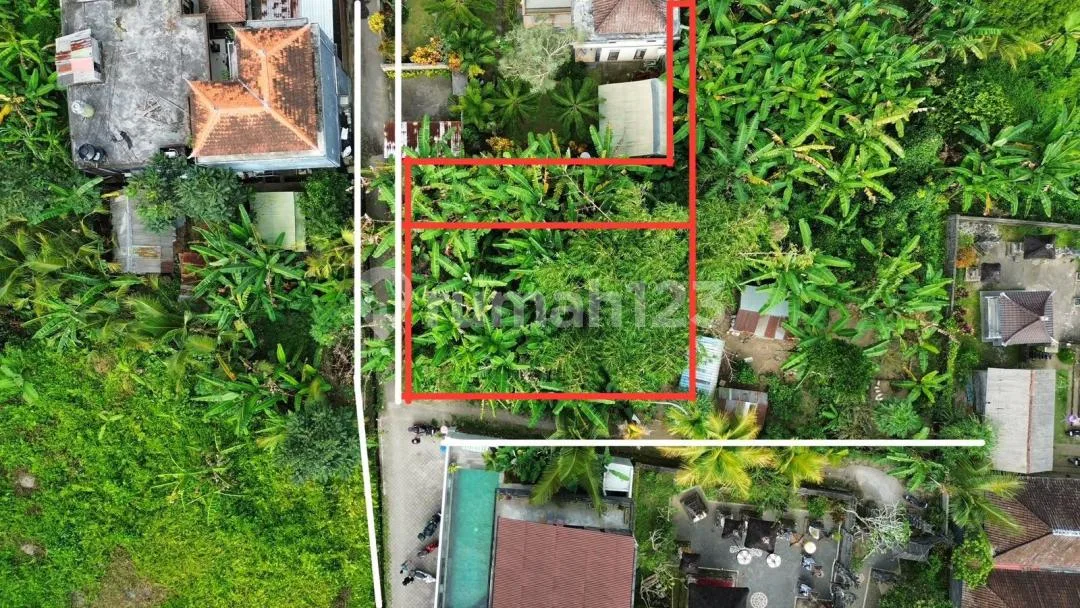 Dijual Tanah Premium Tirta Tawar Ubud Lingkungan Vila Strategis - Image 4 of 4
