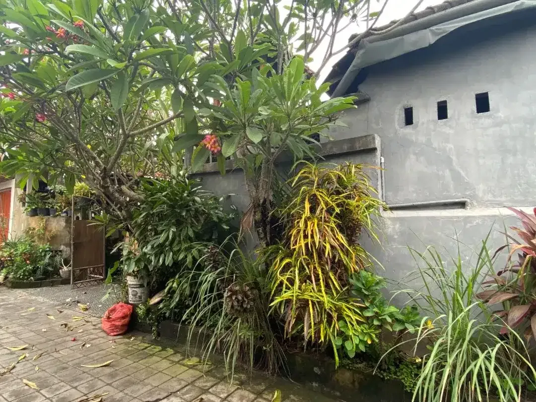 Rumah Dijual - Include dengan Toko dan 2 Kamar Kos - Image 6 of 10
