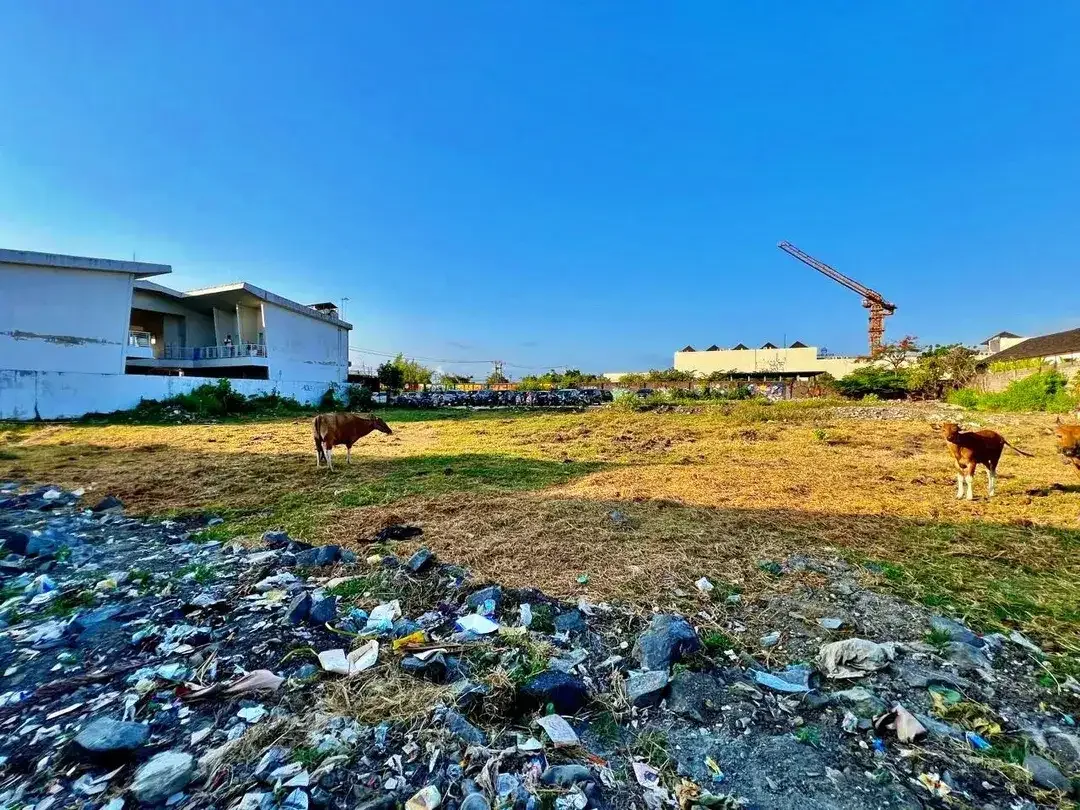 Tanah pantai batubolong canggu - Image 6 of 10