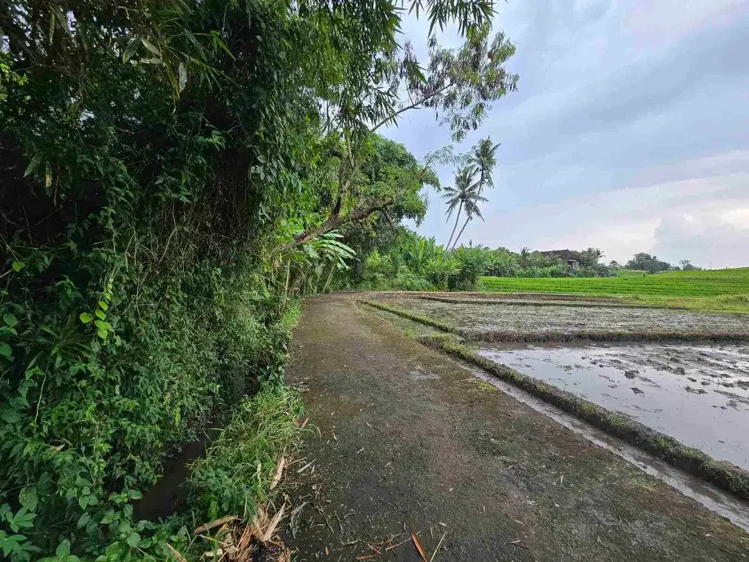 dijual tanah view laut sawah di tabanan bali - Image 4 of 10