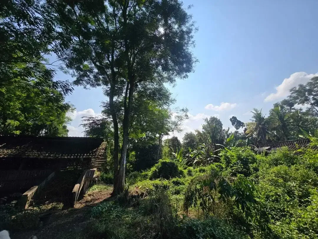 Dijual tanah murah los sungai bebatuan   di bali - Image 9 of 9
