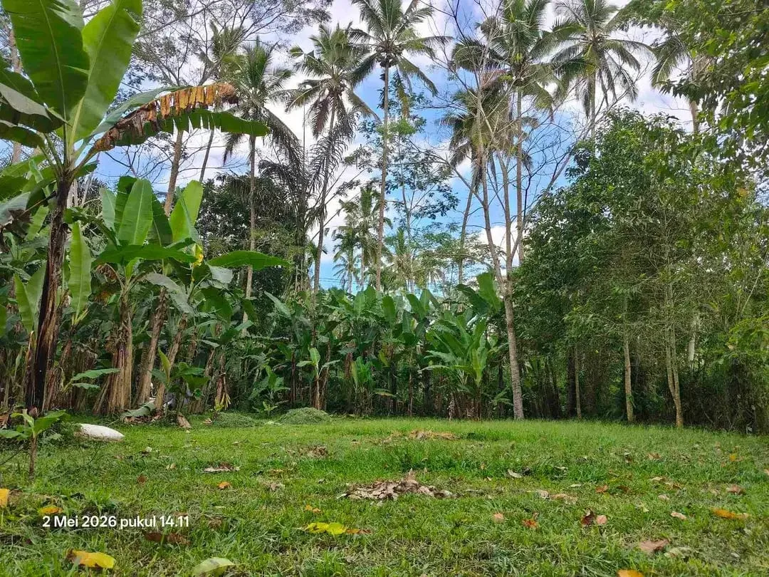 Tanah Zona Kuning 30 Menit dari Central Ubud Bali - Image 4 of 7