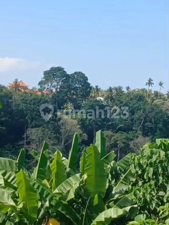 Dijual Tanpa Perantara Dekat Ubud Pinggir Jalan Sampai Sungai Luas 1 Ha, Cocok untuk Villa/Hotel - Image 3 of 4