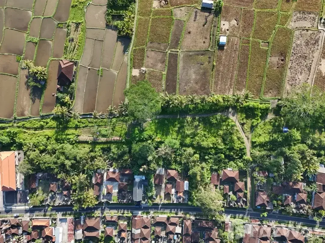 Land for sale in Pejeng, Bali - Image 6 of 9