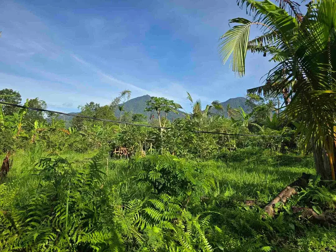 Dijual tanah murah view gunung cantik di tabanan bali - Image 2 of 10